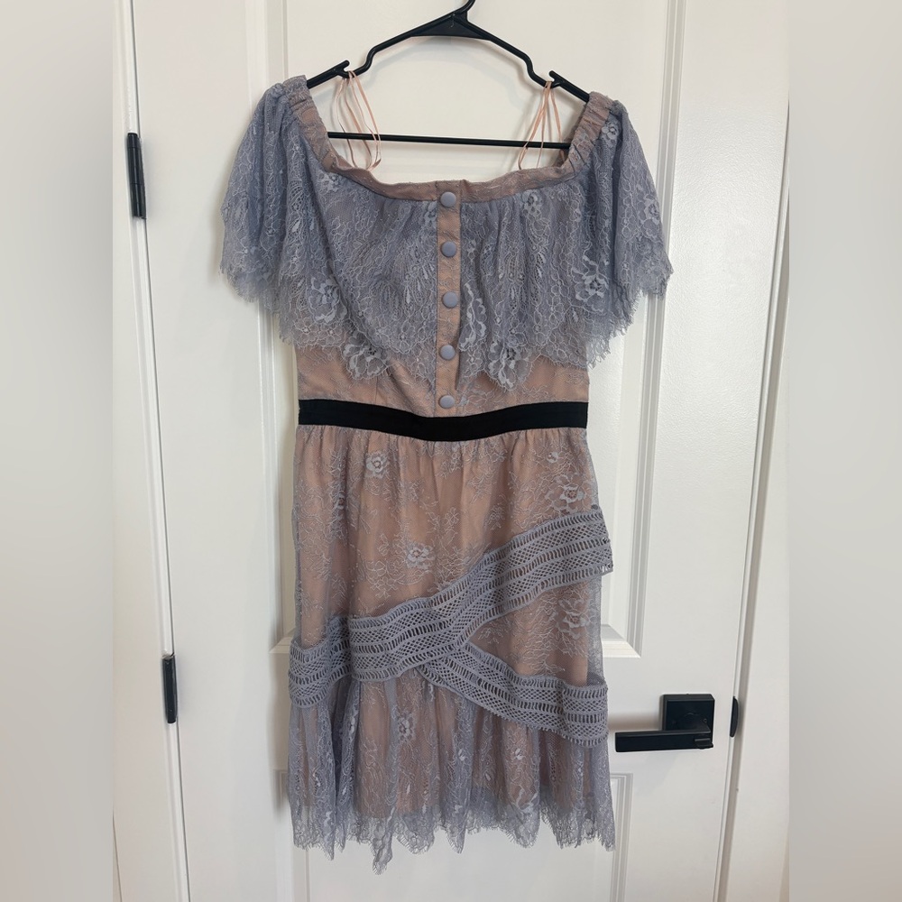 Allison New York Lace Mini Dress, Size Medium, Sheer And Lace